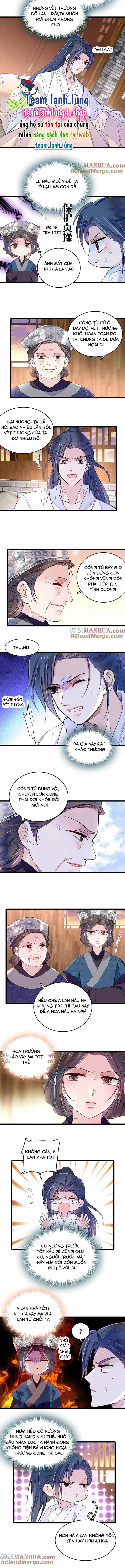Tự Cẩm - Chương 286 - ảnh 4