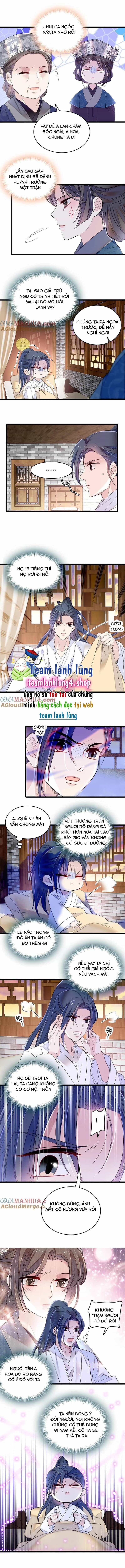 Tự Cẩm - Chương 286 - ảnh 5