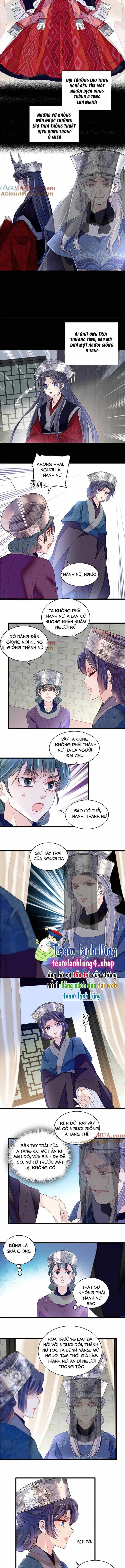 Tự Cẩm - Chương 287 - ảnh 4