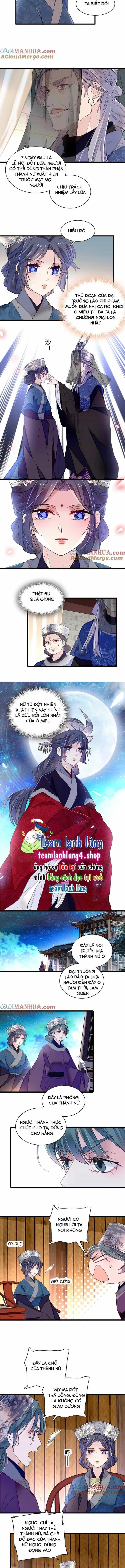 Tự Cẩm - Chương 287 - ảnh 5