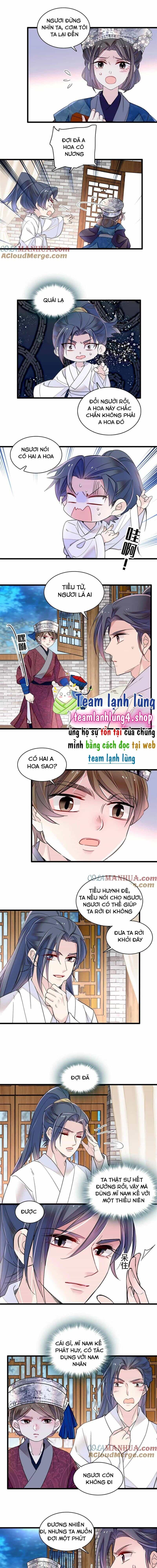 Tự Cẩm - Chương 290 - ảnh 5