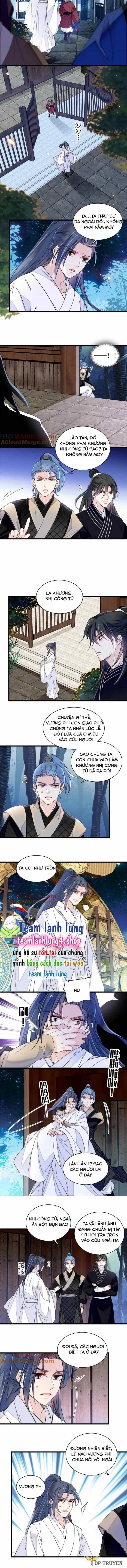 Tự Cẩm - Chương 291 - ảnh 3