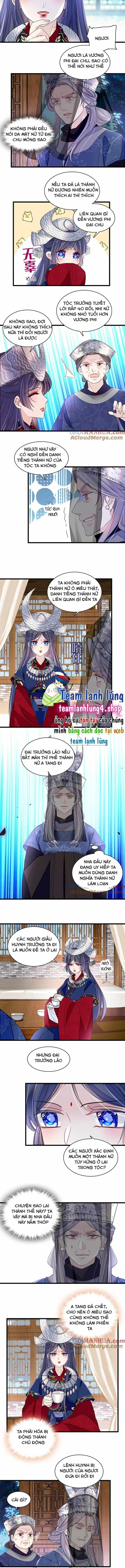 Tự Cẩm - Chương 292 - ảnh 3