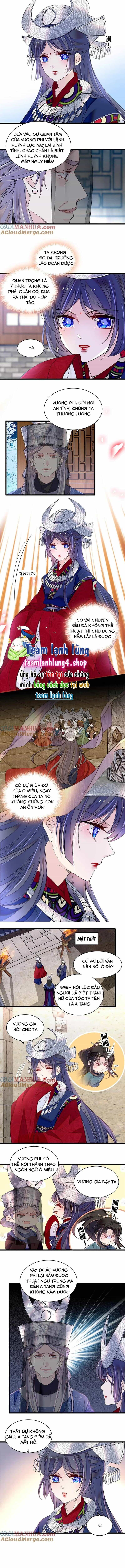 Tự Cẩm - Chương 292 - ảnh 4