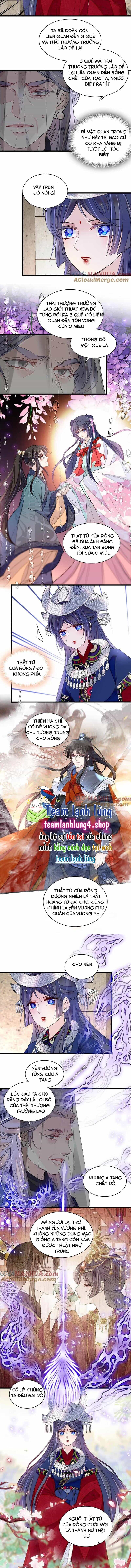 Tự Cẩm - Chương 292 - ảnh 6