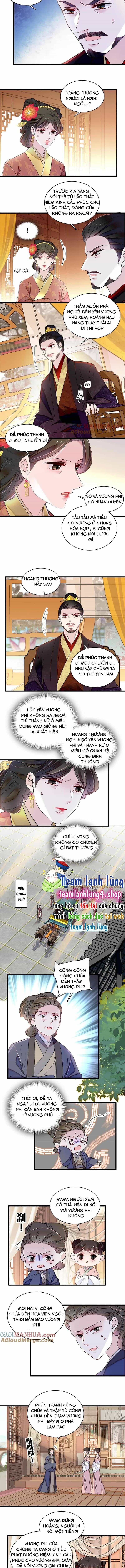 Tự Cẩm - Chương 300 - ảnh 3