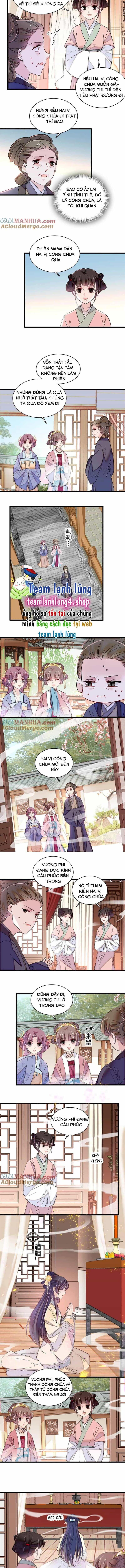 Tự Cẩm - Chương 300 - ảnh 4