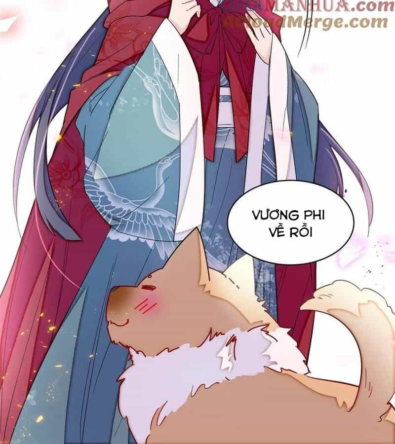 Tự Cẩm - Chương 301 - ảnh 7