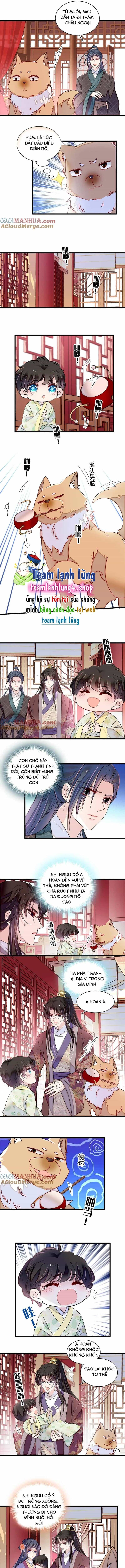 Tự Cẩm - Chương 304 - ảnh 5