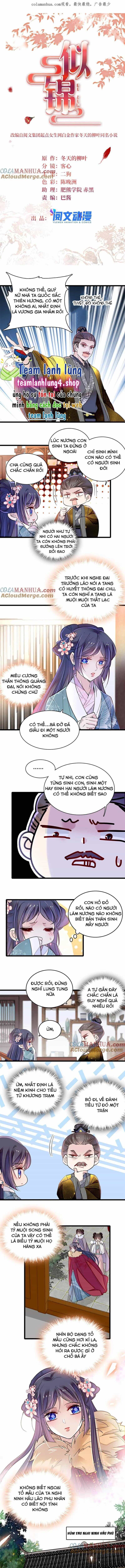 Tự Cẩm - Chương 305 - ảnh 3