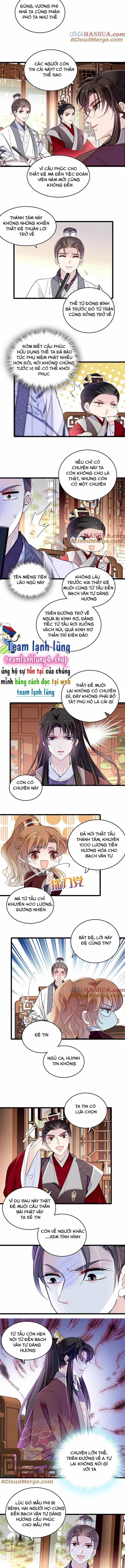 Tự Cẩm - Chương 305 - ảnh 6