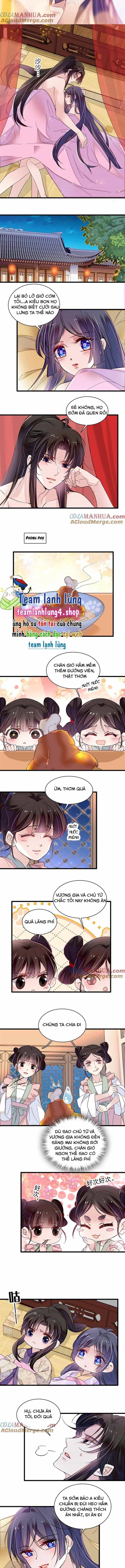 Tự Cẩm - Chương 306 - ảnh 6