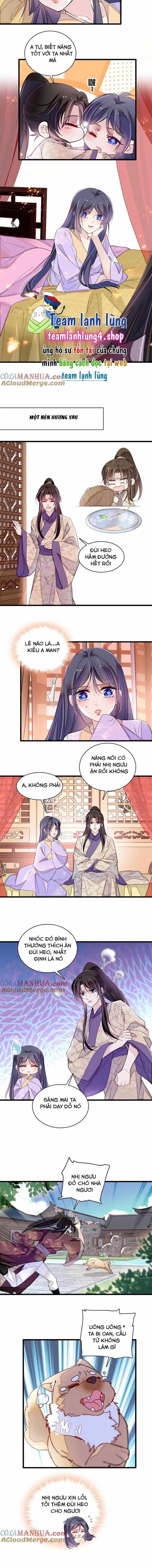 Tự Cẩm - Chương 306 - ảnh 7