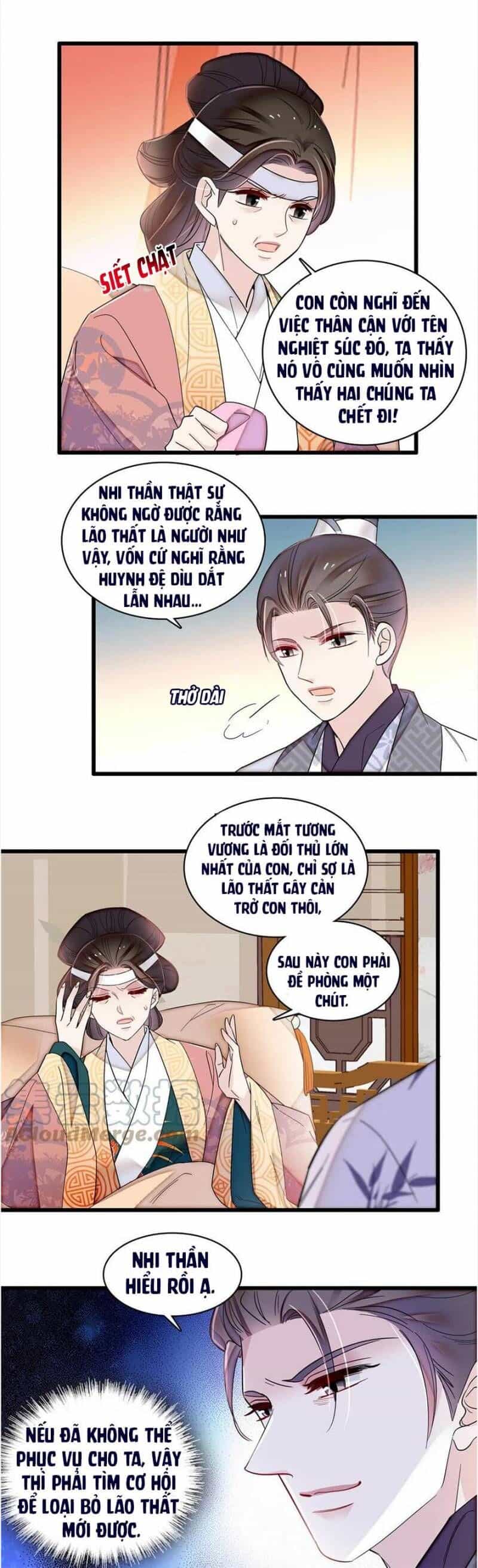 Tự Cẩm - Chương 310 - ảnh 11