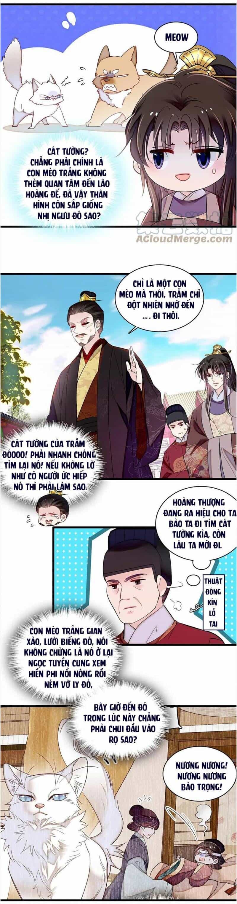 Tự Cẩm - Chương 310 - ảnh 6