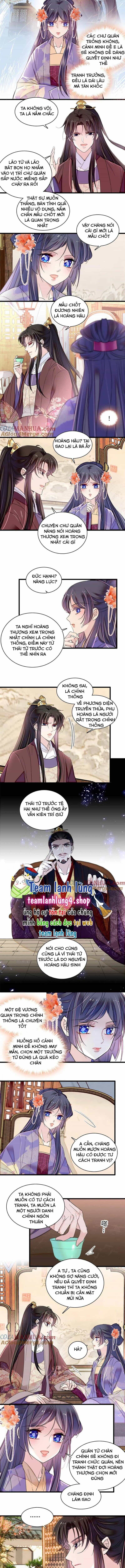 Tự Cẩm - Chương 313 - ảnh 4