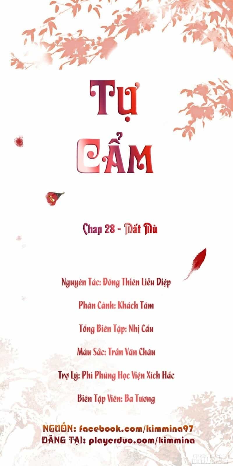 Tự Cẩm - Chương 28 - ảnh 2