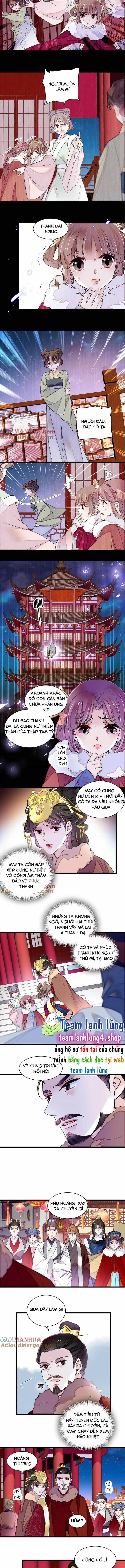 Tự Cẩm - Chương 316 - ảnh 3