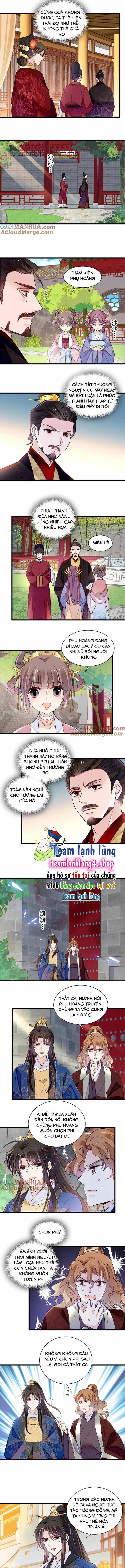 Tự Cẩm - Chương 320 - ảnh 4
