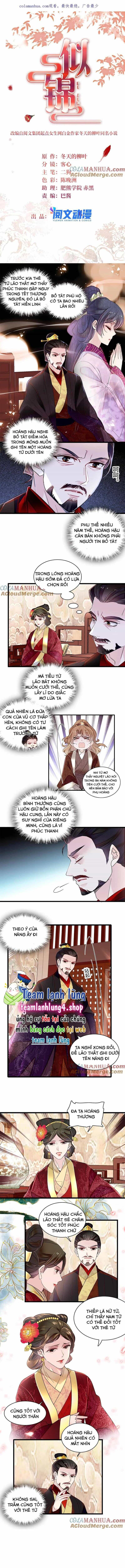 Tự Cẩm - Chương 321 - ảnh 3