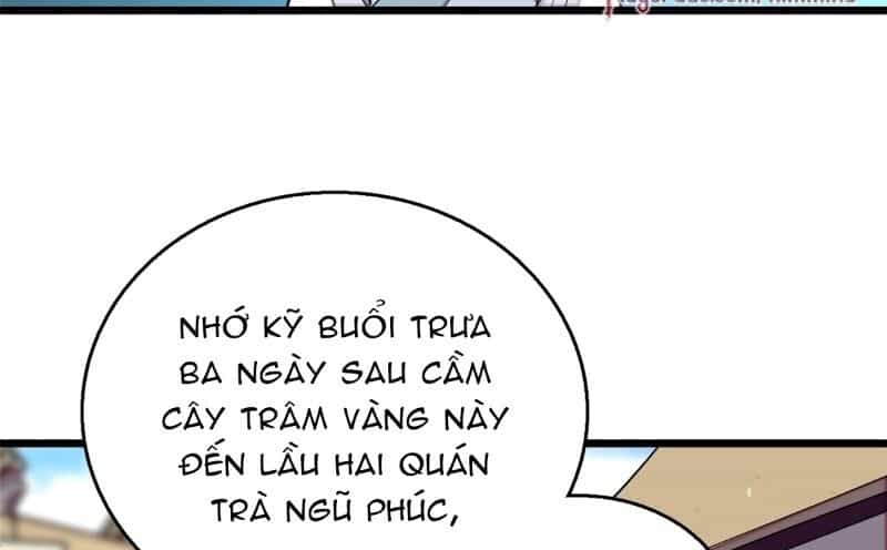 Tự Cẩm - Chương 29 - ảnh 47