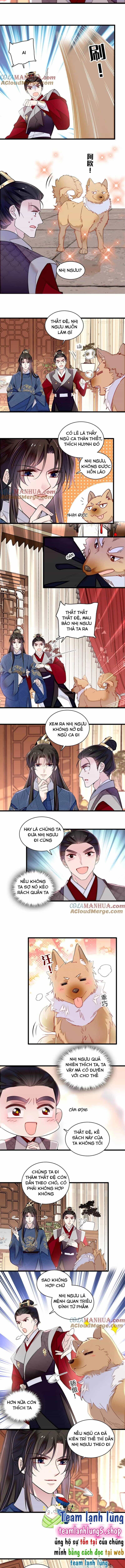 Tự Cẩm - Chương 329 - ảnh 5