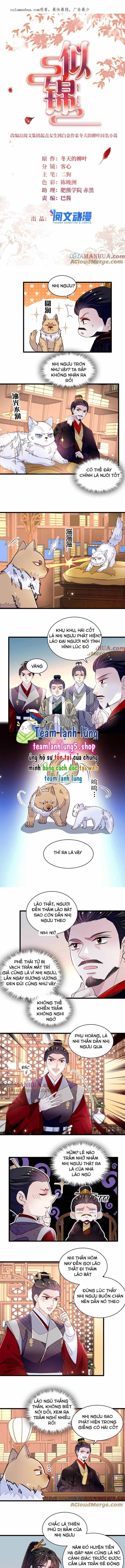 Tự Cẩm - Chương 334 - ảnh 3