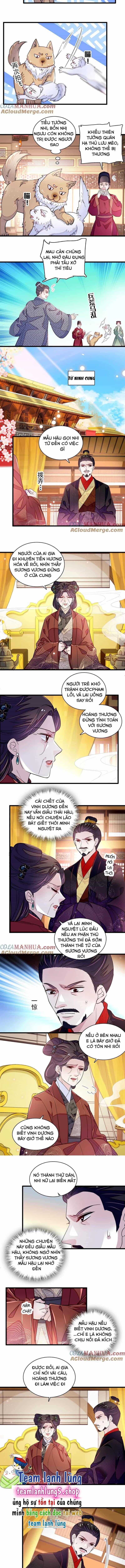 Tự Cẩm - Chương 334 - ảnh 6