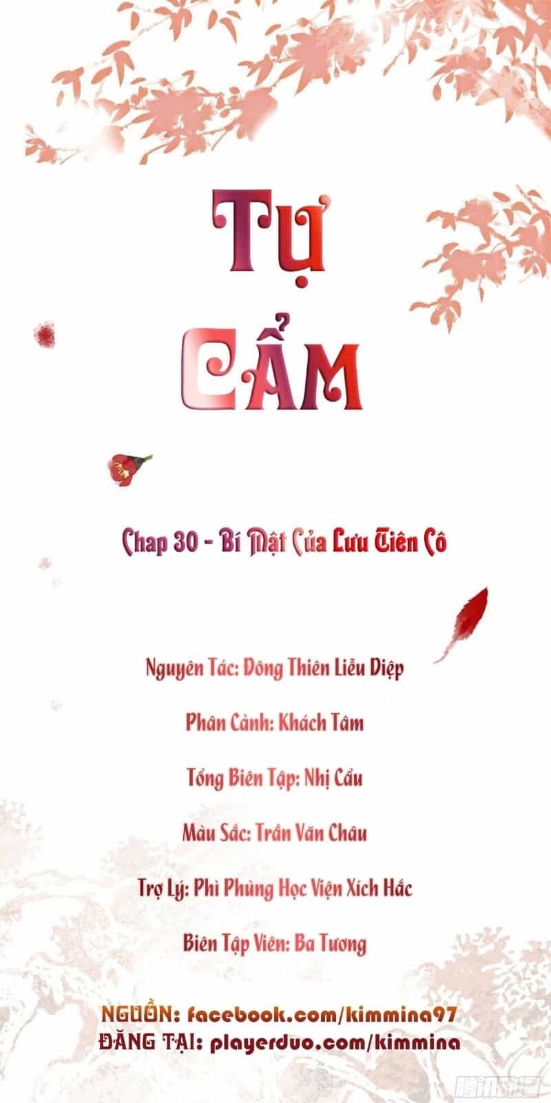 Tự Cẩm - Chương 30 - ảnh 2