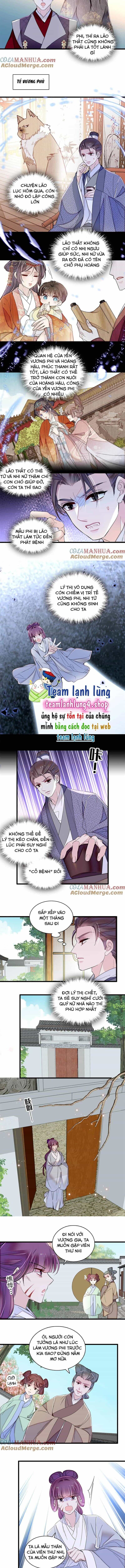 Tự Cẩm - Chương 336 - ảnh 4