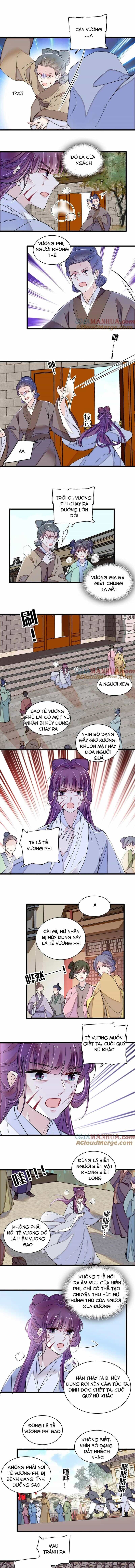 Tự Cẩm - Chương 338 - ảnh 4