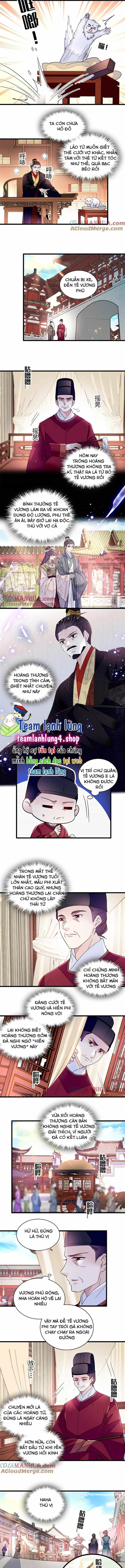 Tự Cẩm - Chương 339 - ảnh 5
