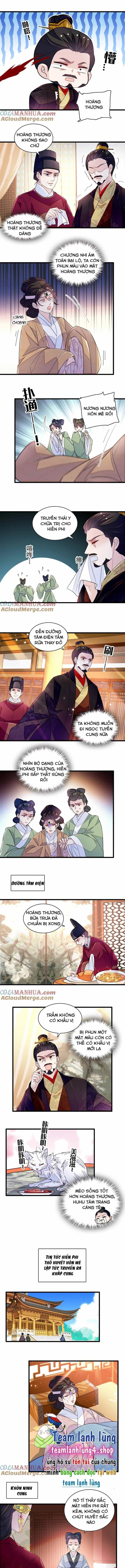 Tự Cẩm - Chương 342 - ảnh 6