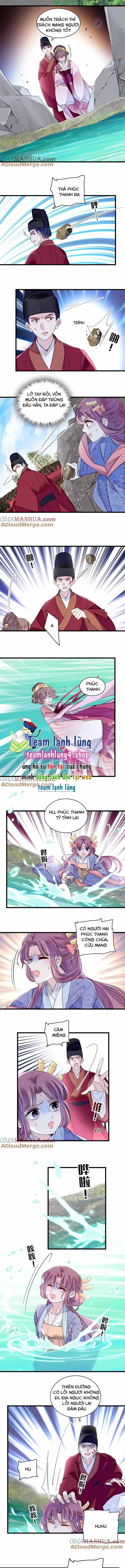 Tự Cẩm - Chương 344 - ảnh 6