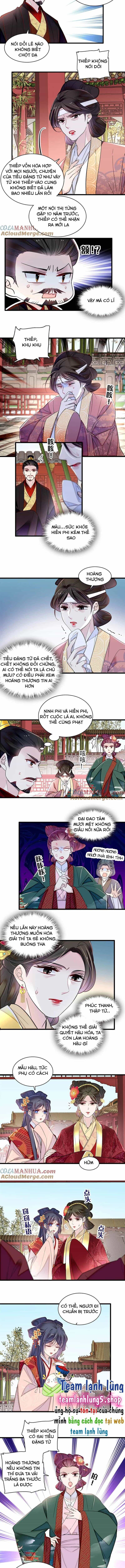 Tự Cẩm - Chương 348 - ảnh 4