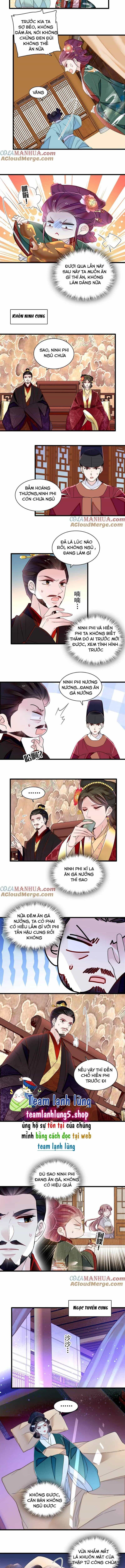 Tự Cẩm - Chương 349 - ảnh 6