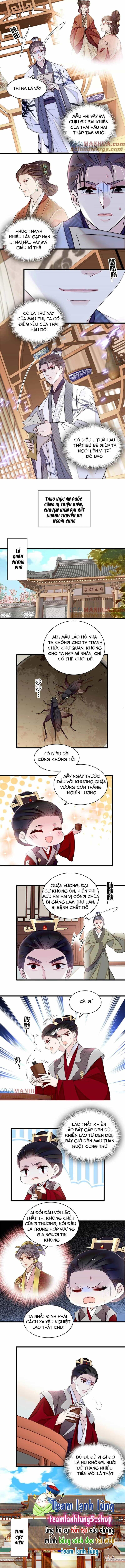 Tự Cẩm - Chương 352 - ảnh 5