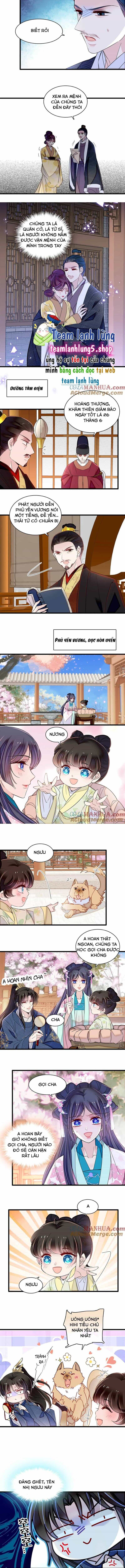 Tự Cẩm - Chương 355 - ảnh 7