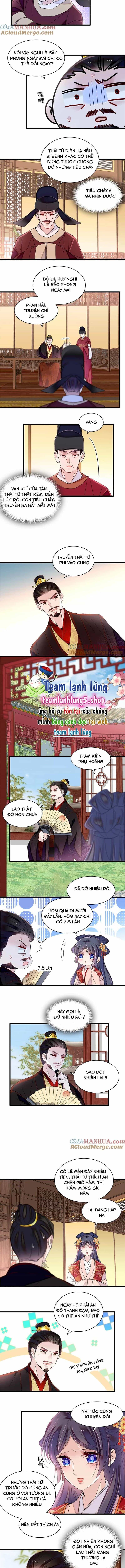 Tự Cẩm - Chương 356 - ảnh 6