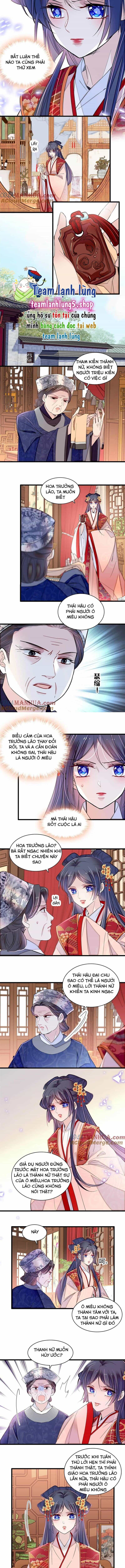 Tự Cẩm - Chương 359 - ảnh 4