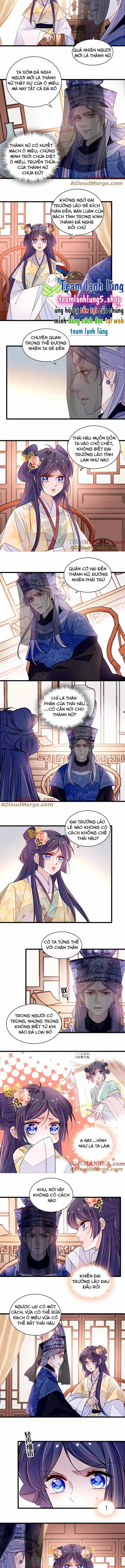 Tự Cẩm - Chương 366 - ảnh 5