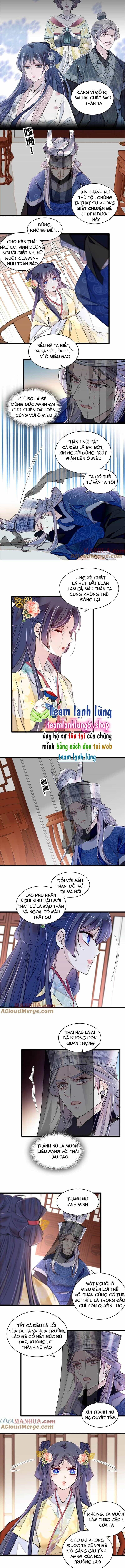 Tự Cẩm - Chương 367 - ảnh 3