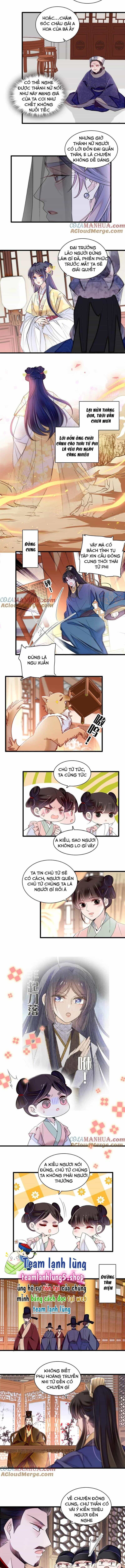 Tự Cẩm - Chương 367 - ảnh 4