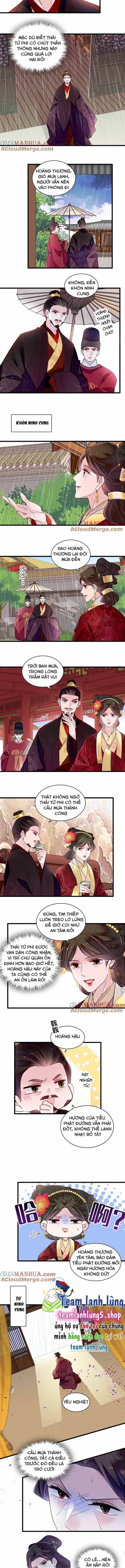 Tự Cẩm - Chương 369 - ảnh 5