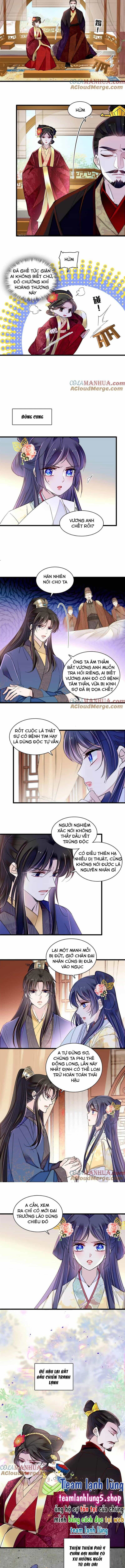 Tự Cẩm - Chương 371 - ảnh 4