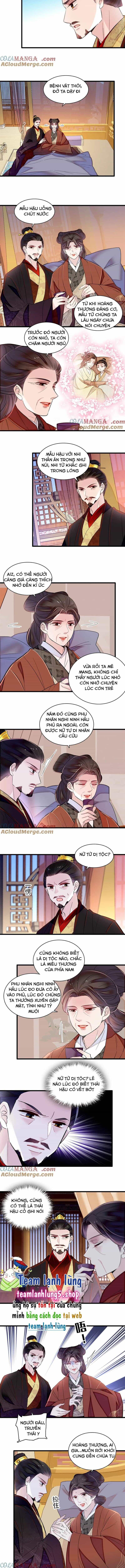 Tự Cẩm - Chương 374 - ảnh 4