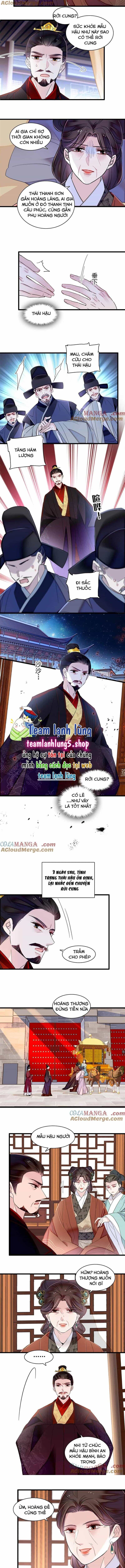 Tự Cẩm - Chương 374 - ảnh 5