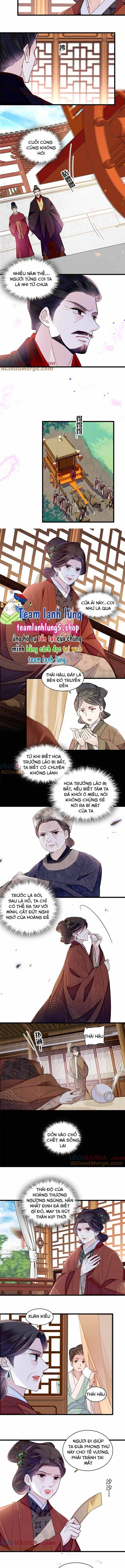Tự Cẩm - Chương 374 - ảnh 6