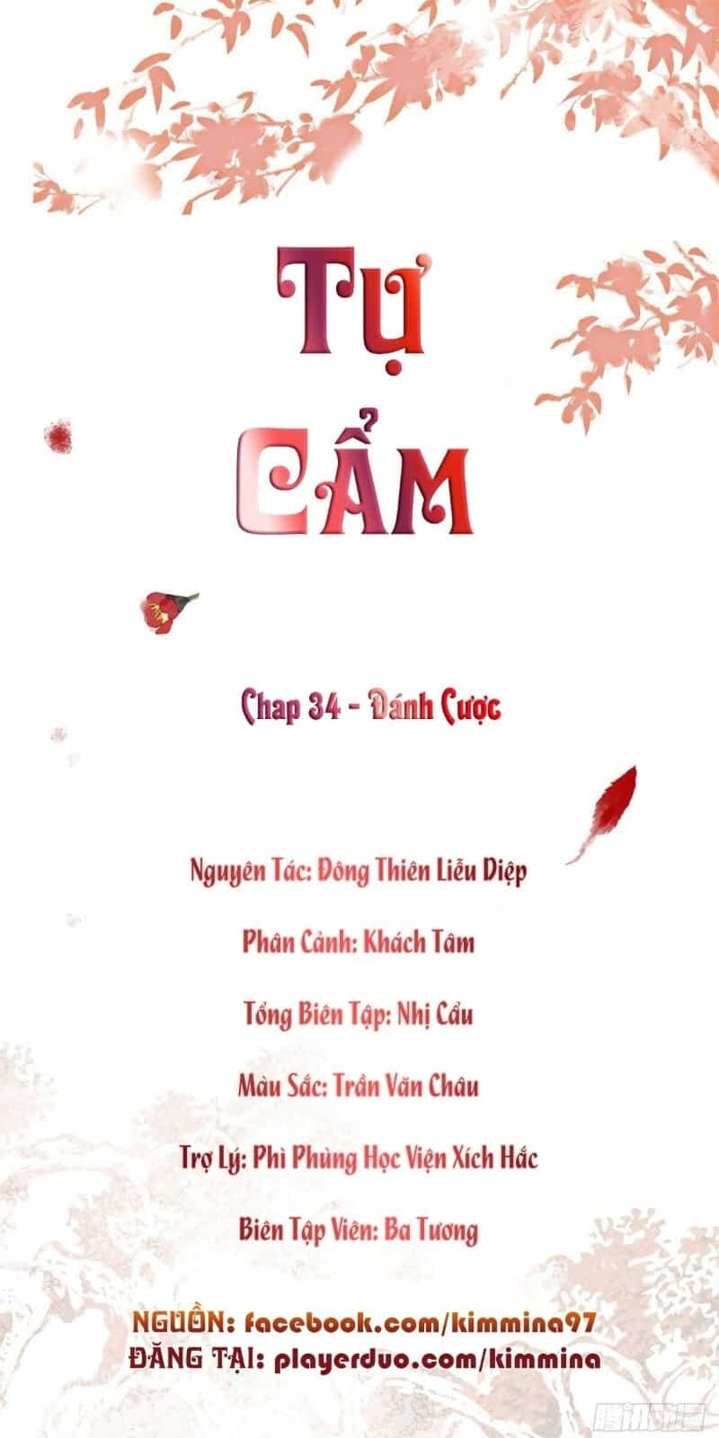 Tự Cẩm - Chương 34 - ảnh 2