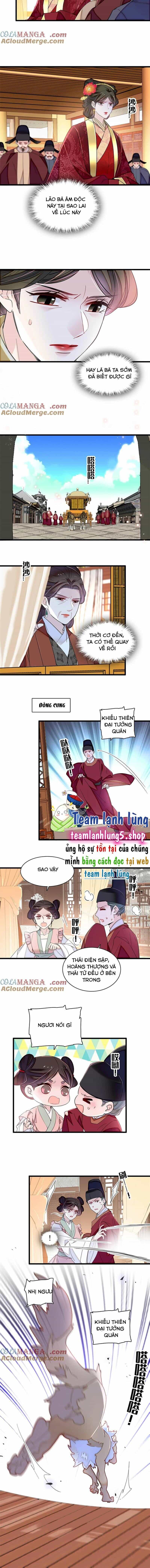 Tự Cẩm - Chương 376 - ảnh 7